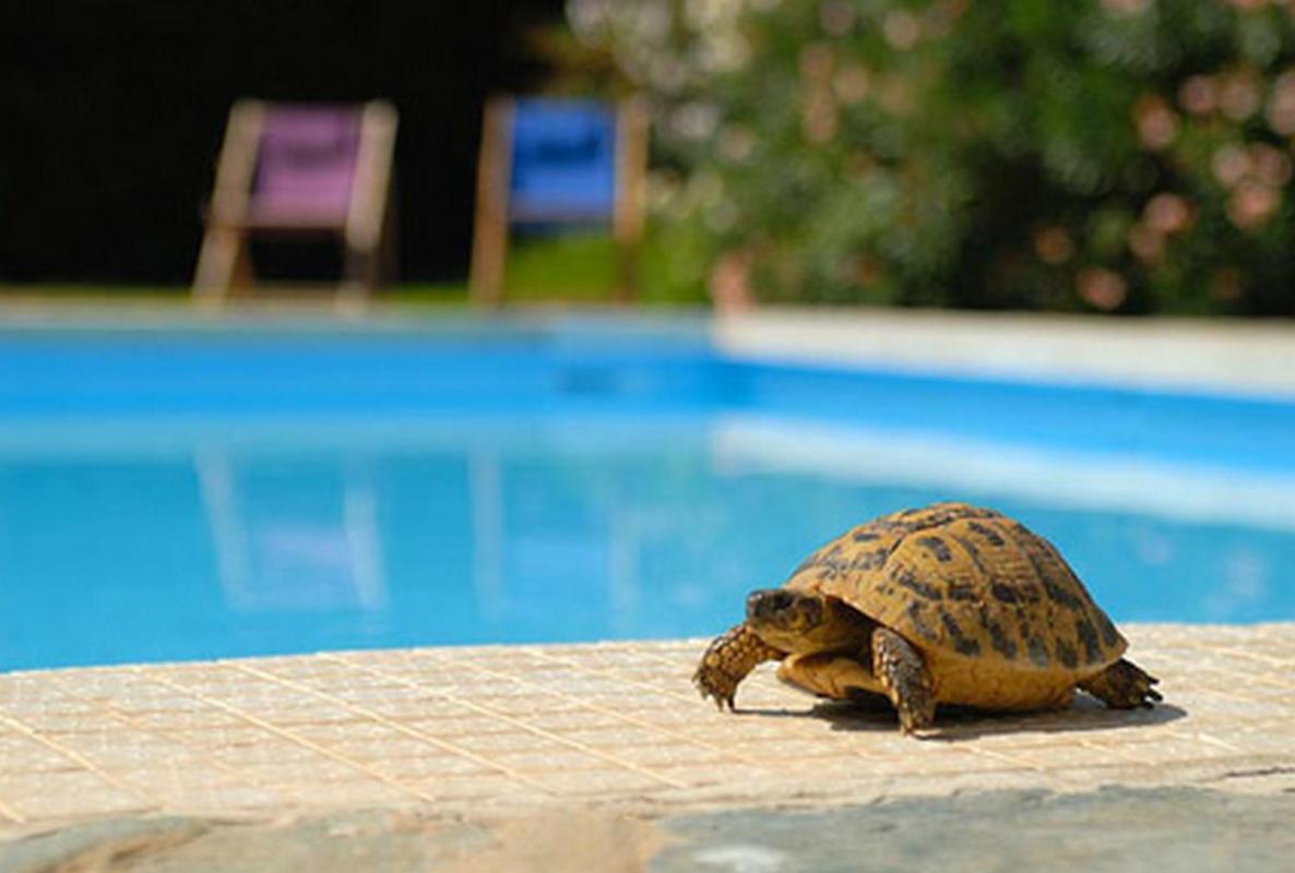 Sun Beach Ajaccio  Exterior foto